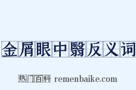 金屑眼中翳反义词是什么意思的图片